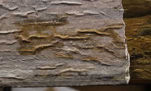 Elizabeth Jowett Conservation of Paintings